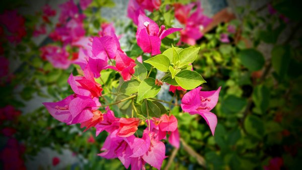 Embarquement immédiat : cap sur la déco africaine