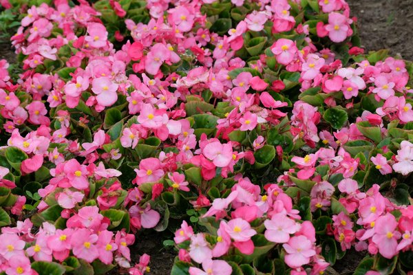 Guide Pratique pour Réussir le Déménagement d'une Entreprise de Production Vidéo sans Interruption des Activités