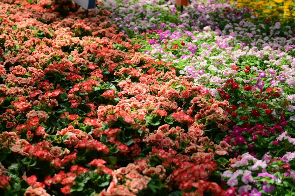 Choisissez la meilleure poubelle de cuisine pour votre intérieur